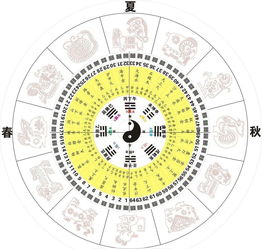丙辰戊戍戊午癸亥八字解析