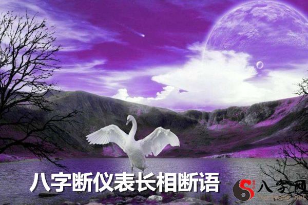八字断仪表长相断语 八字断仪表长相断语