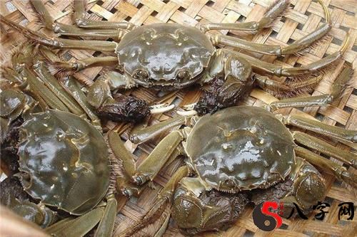 梦见捉了很多螃蟹
