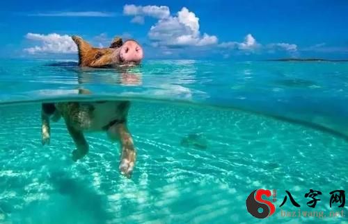 梦见自己在海里游泳